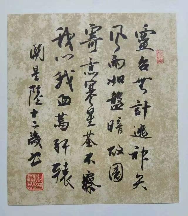 关星陆|15岁小男孩被称“书法神童”，写一手精妙田楷，专家：印刷体而已