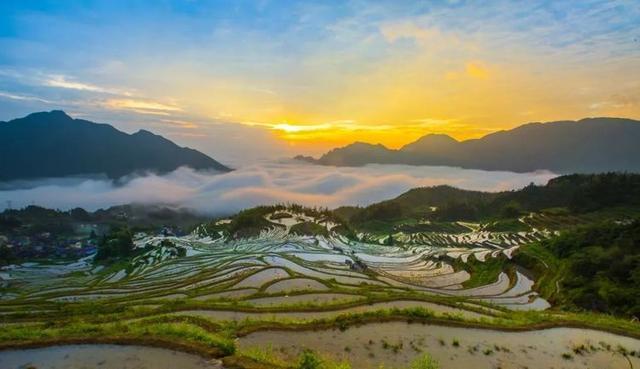 夏季玩在雲和:躲進浙南秘境,享一場山野度假!