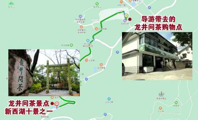 地图上面叫龙井问茶,到那里,也算是一个比较有名的景点,这是狮峰龙井