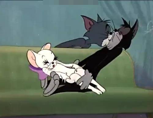 猫和老鼠:汤姆吻白猫的时候看都不看,结果吻错对象了!