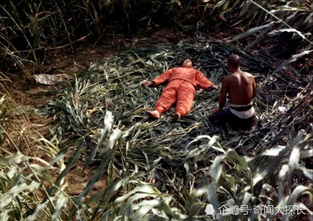 万茜|“乘风破浪”公演第一，38岁的万茜太可怕了