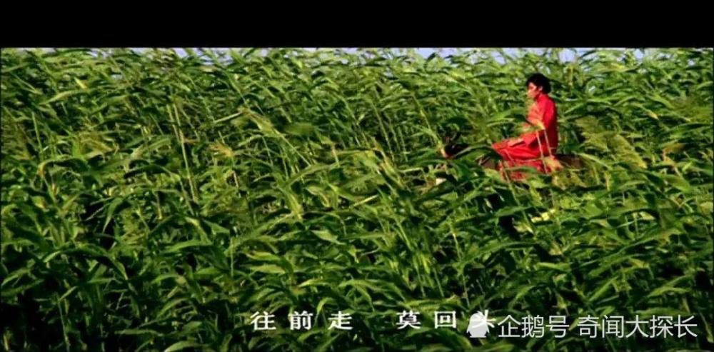 万茜|“乘风破浪”公演第一，38岁的万茜太可怕了