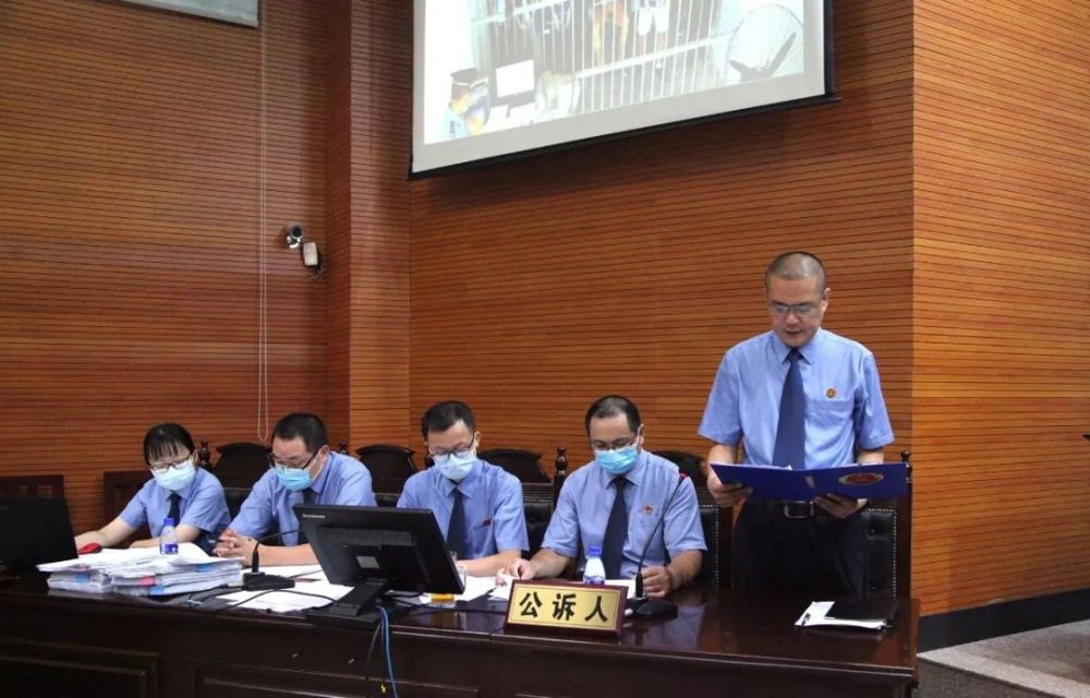 漳平检察起诉的王某兴,张某丹等15人黑社会性质组织案一审判决