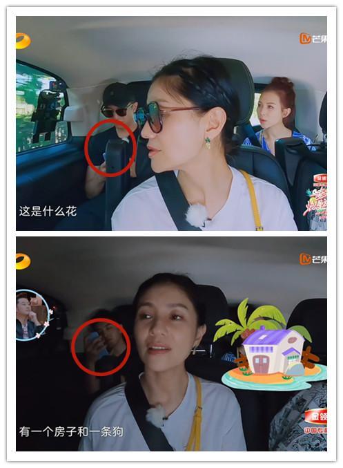 妻子的浪漫旅行|看了最新一期《妻子的浪漫旅行》发现：为何谢娜找金瀚接班魏大勋