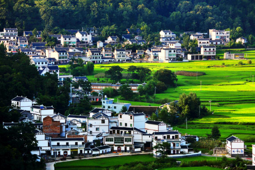 兴仁市鲤鱼坝村│鱼跃稻香绿水流千家灯火映华楼