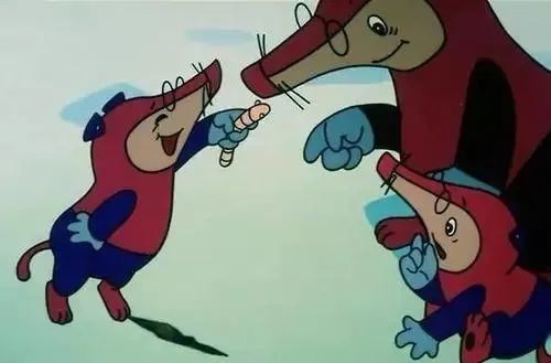 三明这座"疯狂动物城"又添新成员!世界上最小的哺乳动物你见过吗?