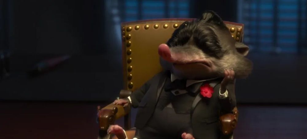 三明这座"疯狂动物城"又添新成员!世界上最小的哺乳动物你见过吗?