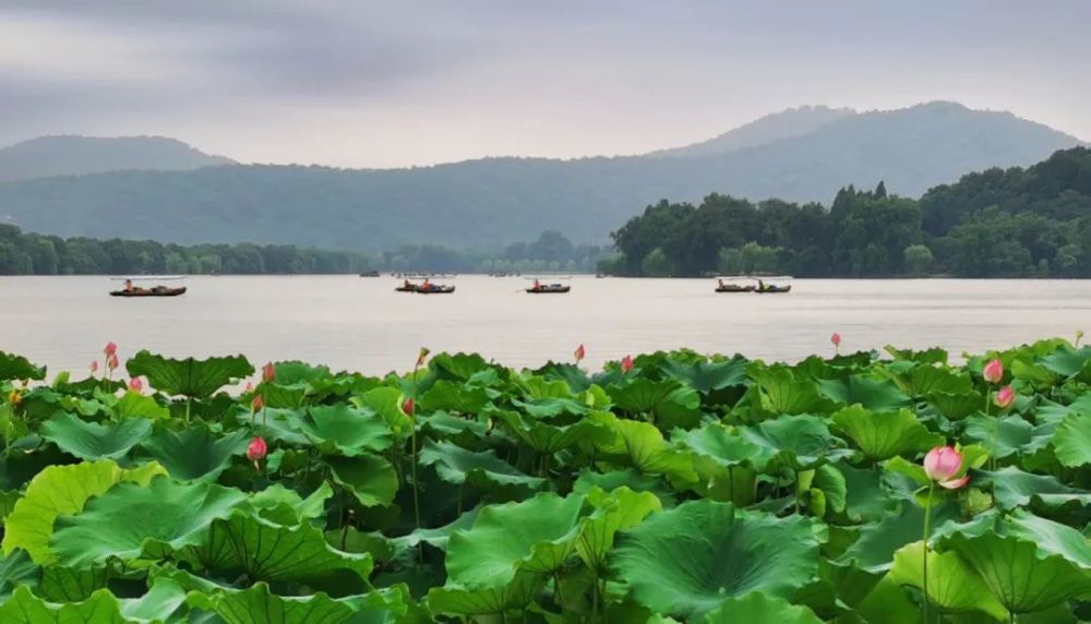 无限荷香染暑衣,阮郎何处弄船归.人行碧波中,犹在画中游.