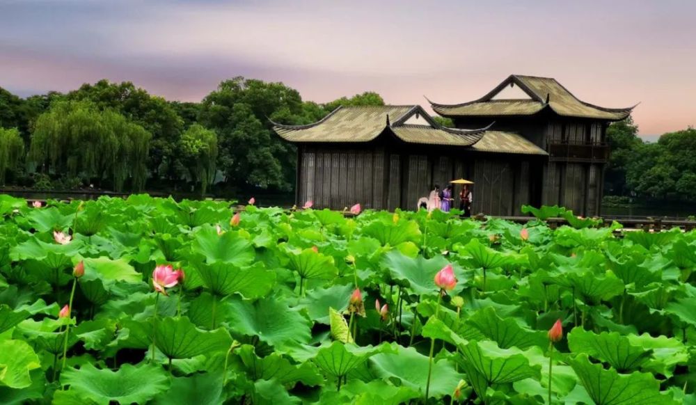 无限荷香染暑衣,阮郎何处弄船归.人行碧波中,犹在画中游.