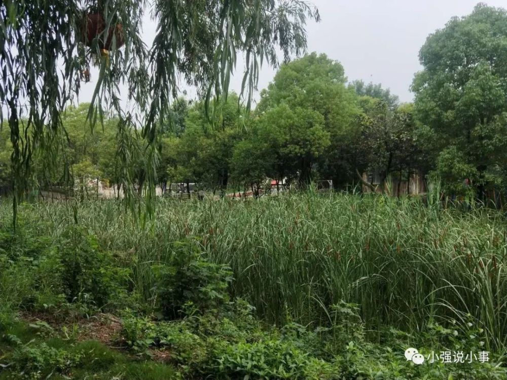文化村|南阳归零文化村