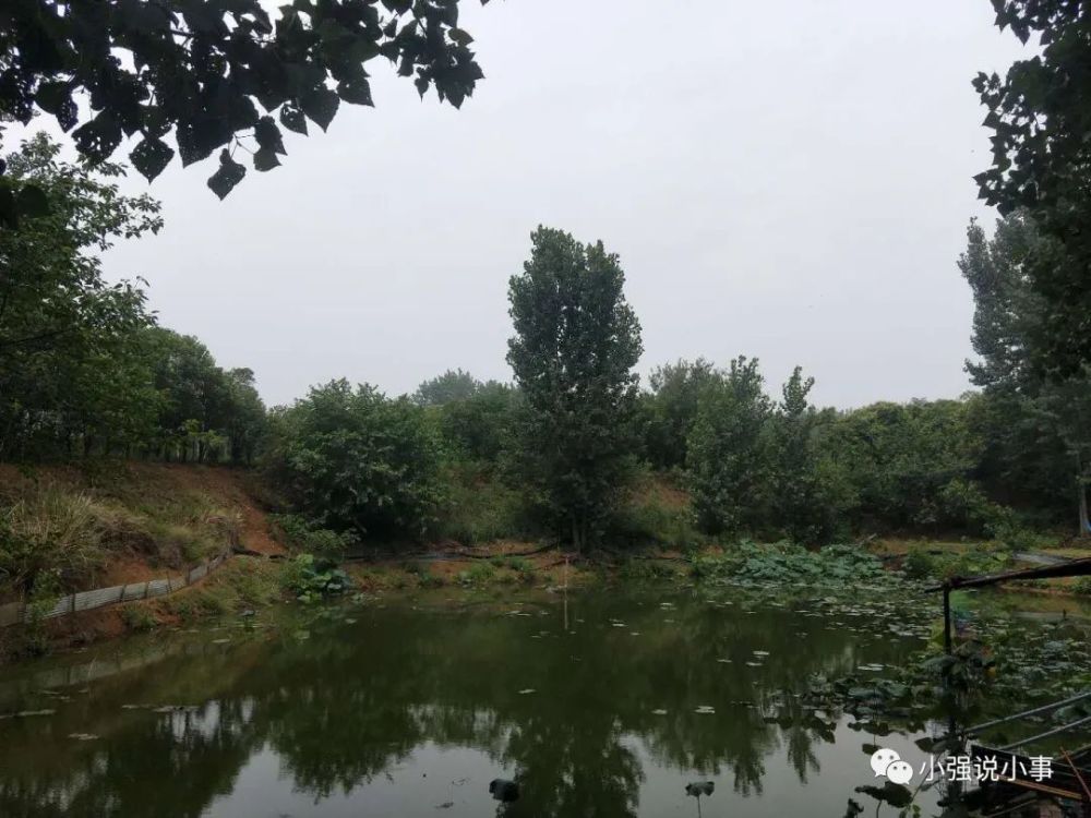 文化村|南阳归零文化村