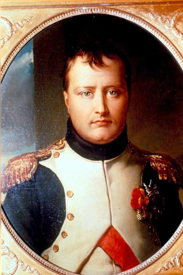 过拿破仑的这张画像了,但是你是不是也想知道,如果这张画像是真人的话