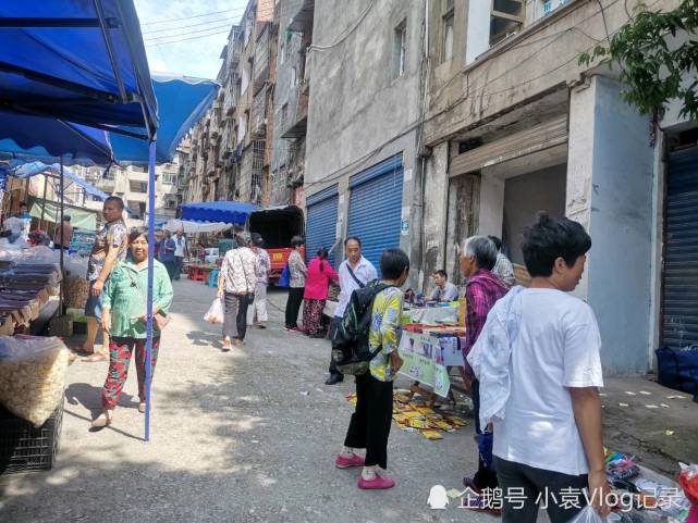 重庆市垫江县沙坪镇和新民镇