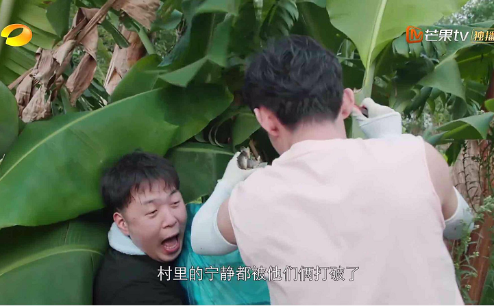 向往的生活|《向往的生活》迎来最敢说话的嘉宾，连何炅都差点招架不住！