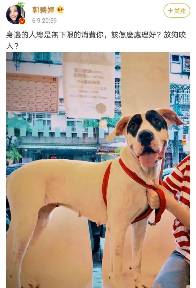 郭碧婷|高明的郭碧婷：拿捏向佐，让陈岚疲于“救火”，36岁的她不是傻白甜