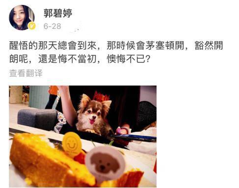 郭碧婷|高明的郭碧婷：拿捏向佐，让陈岚疲于“救火”，36岁的她不是傻白甜