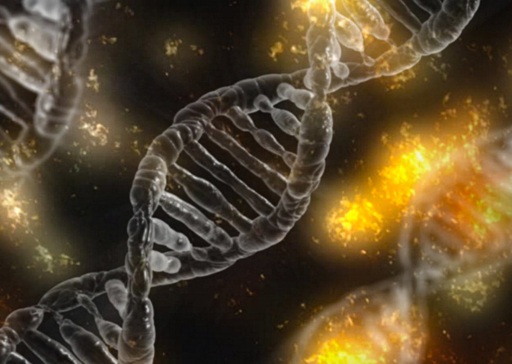 琥珀|两只史前苍蝇交配时变琥珀，4100万年后还要被围观