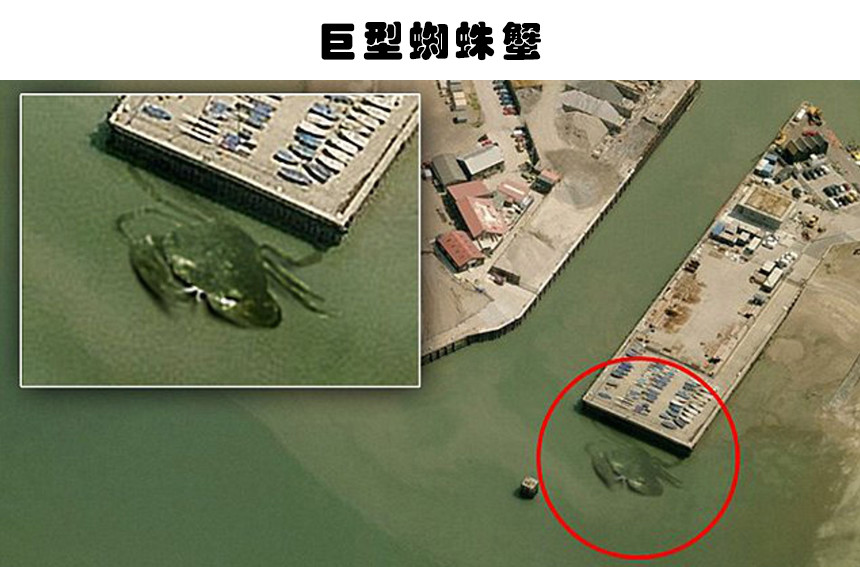 谷歌地图|地图上的秘密：海外网友在谷歌地图上找到的6个神秘发现