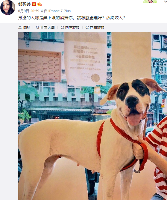 郭碧婷|有情况？郭碧婷屏蔽与向佐恩爱照展示，台媒曝疑患产前抑郁症