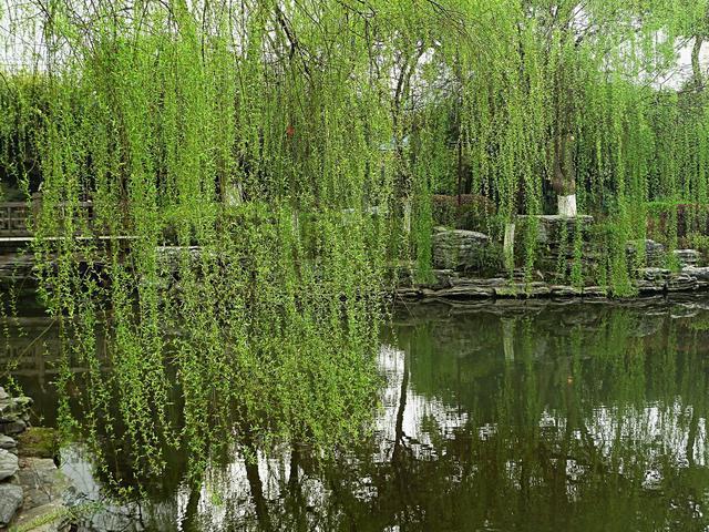 杏花雨|宋代僧人的这首诗，写出了人与自然相处的真谛，值得细细品味
