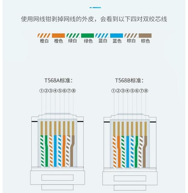 網線水晶頭該如何連接圖文並茂小妙招讓你一目瞭然