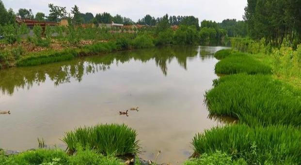 泗水这个村庄的美丽小河宛若仙境