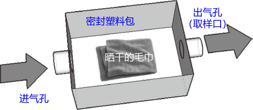 螨虫|衣物晒过之后好闻的“太阳味”，究竟是怎么来的？真相在这里