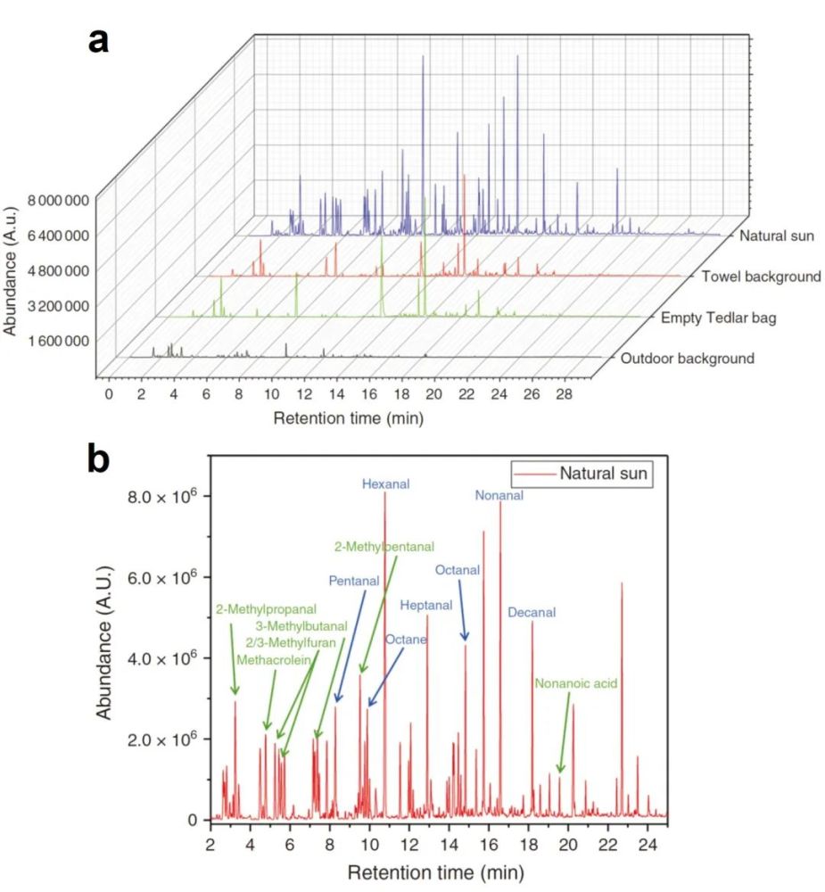 螨虫|衣物晒过之后好闻的“太阳味”，究竟是怎么来的？真相在这里