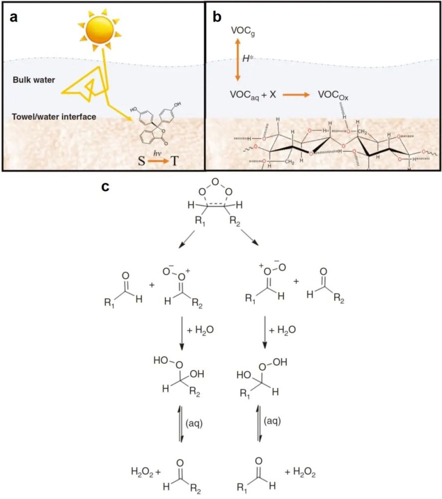 螨虫|衣物晒过之后好闻的“太阳味”，究竟是怎么来的？真相在这里