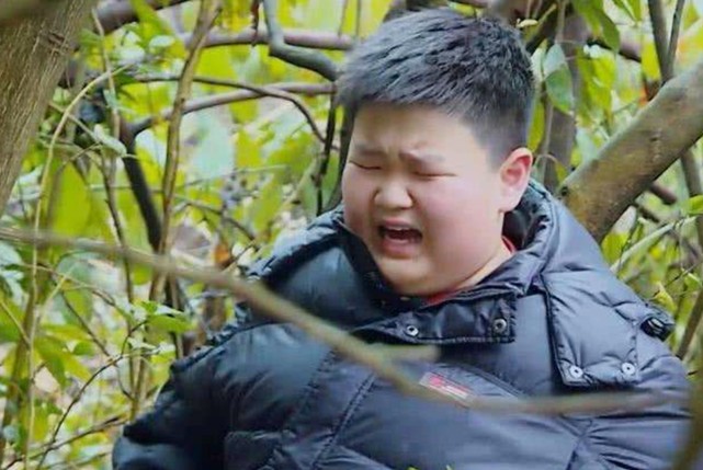 葬送孩子一生,"只养不育"太不负责|杜华|范丞丞|孩子|赵小果