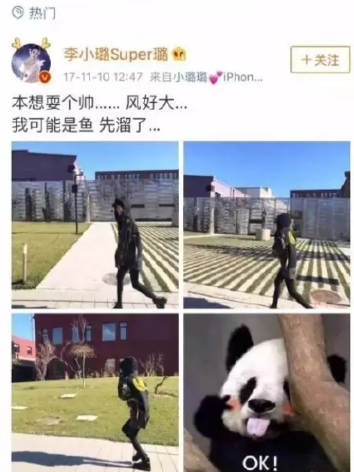 李小璐|李小璐手臂现新纹身，竟是当年引发热议的比目鱼