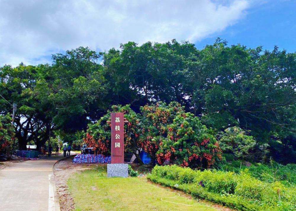 迎难而上,走向产业化之路走进汕尾市城区东涌镇宝楼村的荔枝烘干厂