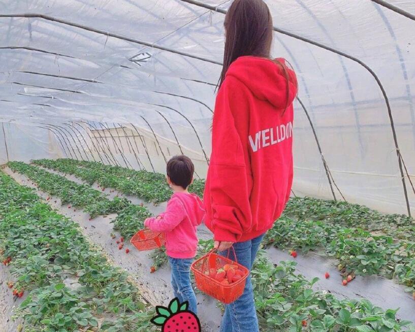 angelababy|baby发文：说实话有点失望，曝事业粉不满她推掉行程，还怪小海绵拖后腿