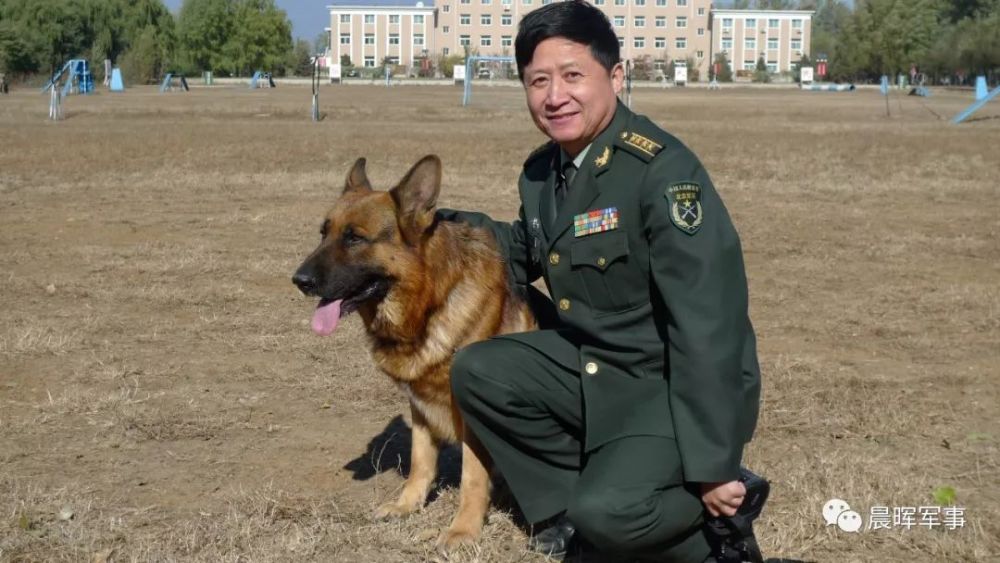 走进神秘的军犬王国