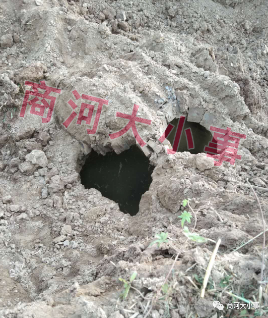 商河县发现一唐代古墓后疑似又发现一个古墓这次位于