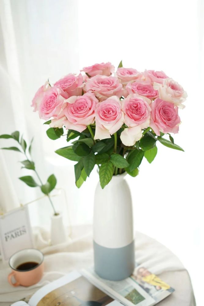 新品种洛神玫瑰鲜切花介绍倾城美色