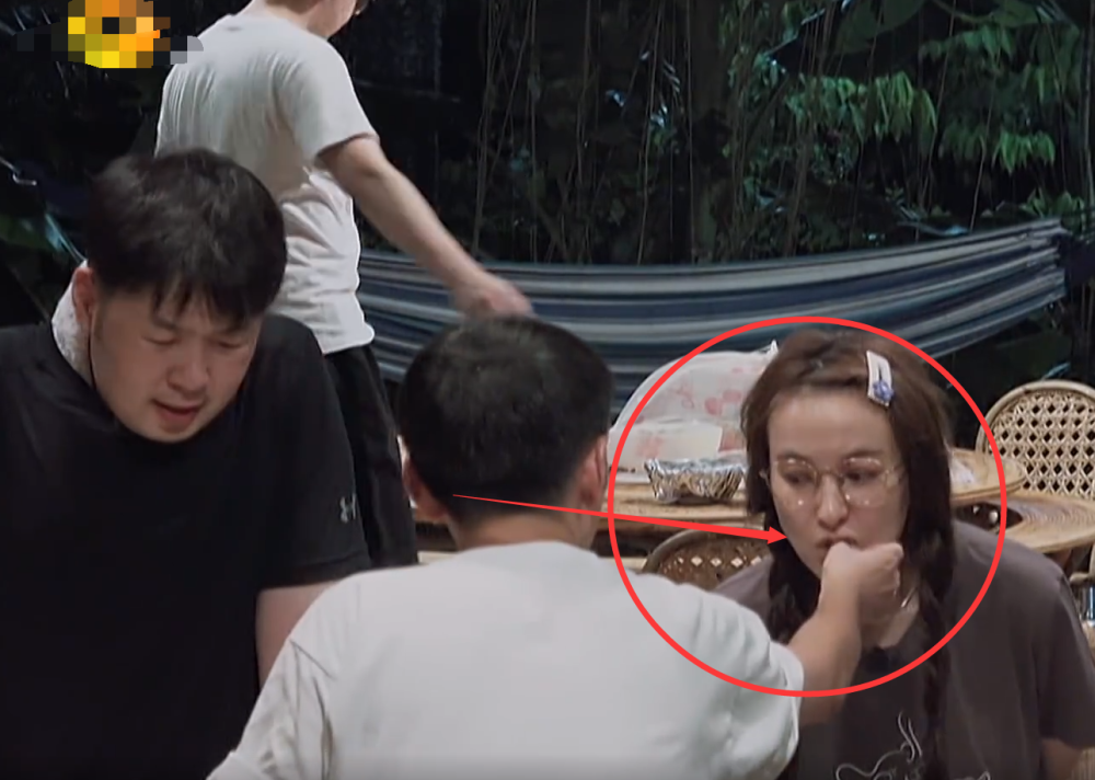 黄磊|向往4：叫花鸡烧焦，黄磊没面子，谁注意第一个人赏脸试吃的人？