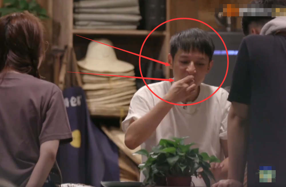 黄磊|向往4：叫花鸡烧焦，黄磊没面子，谁注意第一个人赏脸试吃的人？