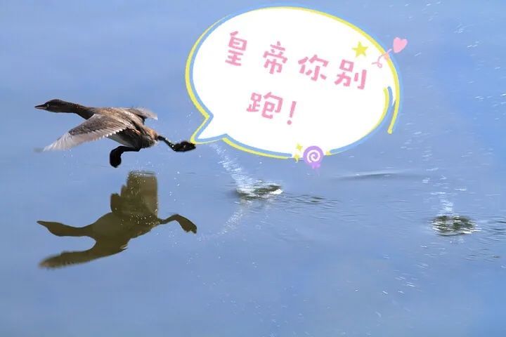 乾隆|乾隆：在书画艺术面前，皇帝顶多算是个副业