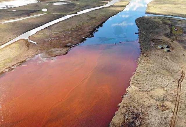 北极圈|山火肆虐、罕见高温、柴油泄漏，北极圈遭遇前所未有危机