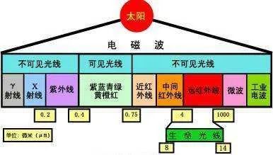 太阳|拍了拍你，去爬山吗？