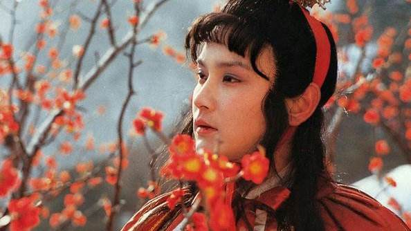 薛宝钗|听到甄家被抄家，贾母为什么不难过反而要庆祝？薛宝钗给出答案