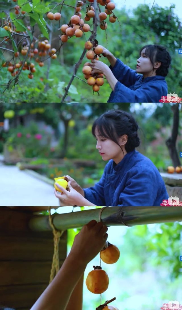 越南李子柒被喷文化的模仿与创新