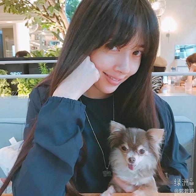 郭碧婷|郭碧婷被传患产前抑郁，向太回应：他们感情很好，一开放就接回家