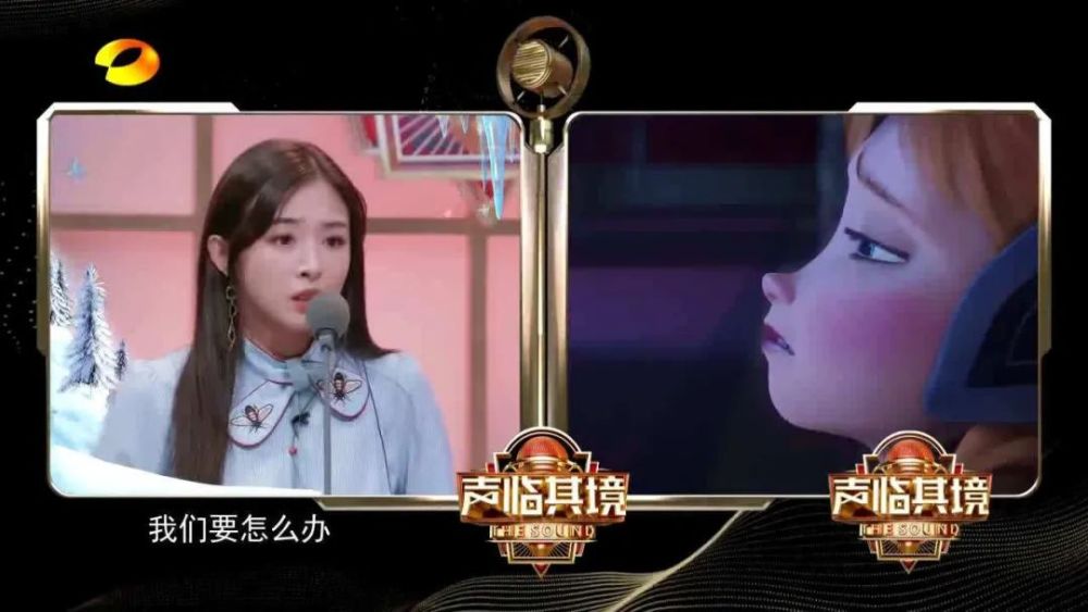 张含韵|“张含韵，你是不是又要凉了？”