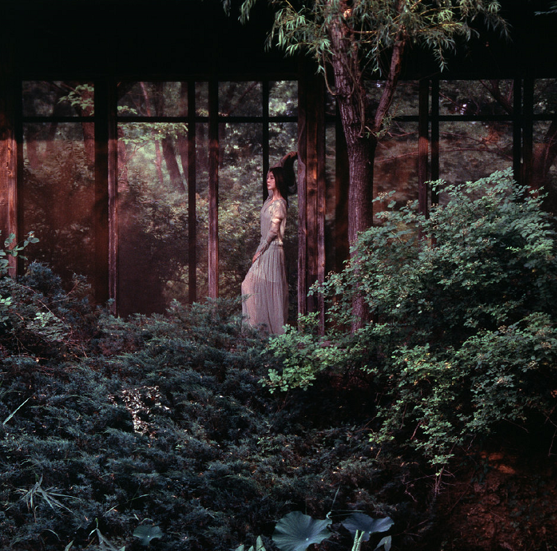 范冰冰|范冰冰新杂志出炉，如人间精灵仙气满满，她是无需乘风破浪的姐姐