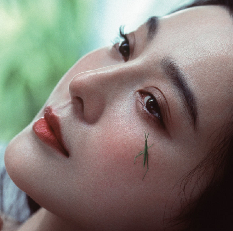 范冰冰|范冰冰新杂志出炉，如人间精灵仙气满满，她是无需乘风破浪的姐姐