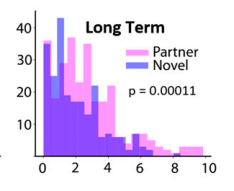 基因|亲亲抱抱是一种基因行为，只传女不传男