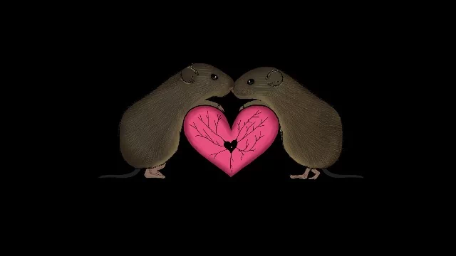 基因|亲亲抱抱是一种基因行为，只传女不传男