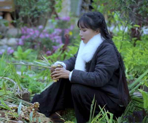 李子柒被写入考卷,家长坐不住!在评论区吵了起来,出题人已回应